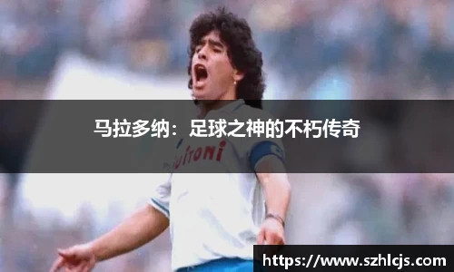 马拉多纳：足球之神的不朽传奇